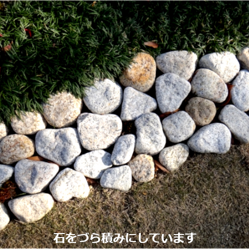 ダイモチ