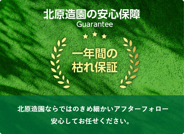 北原造園の安心保証、一年間枯れ保証